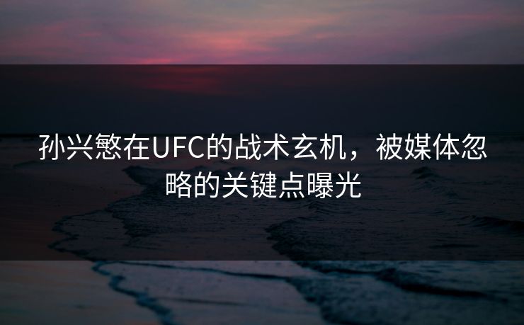 孙兴慜在UFC的战术玄机,被媒体忽略的关键点曝光 孙兴慜在UFC的战术玄机,被媒体忽略的关键点曝光